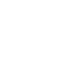 Le Mans FC official club crest