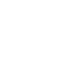 Olympique Lyonnais official club crest